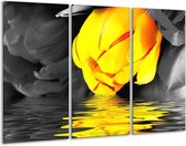 Glasschilderij Tulpen - Geel, Grijs, Zwart - 120x80cm 3Luik - Foto Op Glas - Geen Acrylglas Schilderij - GroepArt 6000+ Glas Art Collectie - Maatwerk Mogelijk