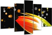 Glasschilderij Tulp - Oranje, Zwart - 170x100cm 5Luik - Foto Op Glas - Geen Acrylglas Schilderij - 6000+ Glasschilderijen Collectie - Wanddecoratie