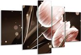 Peinture sur verre tulipe | Marron noir | 170x100cm 5 Liège | Tirage photo sur verre |  F004980