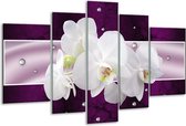 Glasschilderij Orchidee - Zwart, Wit, Paars - 170x100cm 5Luik - Foto Op Glas - Geen Acrylglas Schilderij - 6000+ Glasschilderijen Collectie - Wanddecoratie