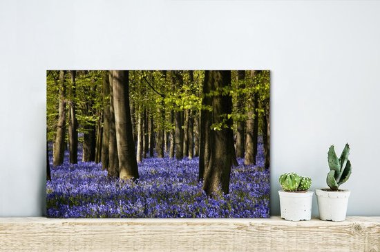 Canvas Schilderij Tussen de bomen liggen paarse bloemen van de sterhyacint - 30x20 cm - Wanddecoratie