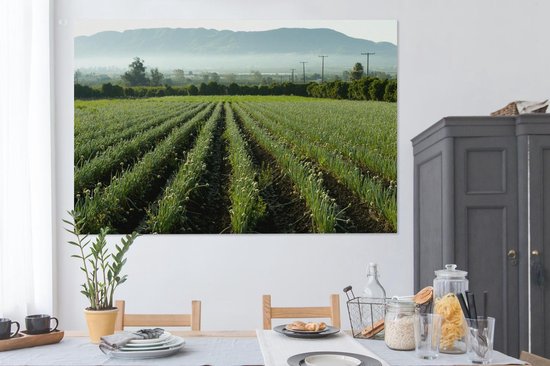 Canvas schilderij 150x100 cm - Wanddecoratie Uien in het veld met uitzicht op de bergen - Muurdecoratie woonkamer - Slaapkamer decoratie - Kamer accessoires - Schilderijen