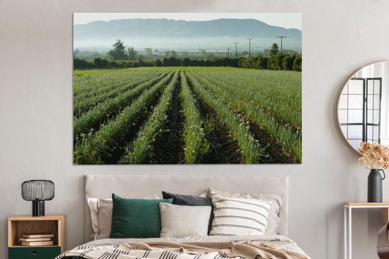 Canvas schilderij 150x100 cm - Wanddecoratie Uien in het veld met uitzicht op de bergen - Muurdecoratie woonkamer - Slaapkamer decoratie - Kamer accessoires - Schilderijen