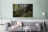 Canvas Schilderij Doorbrekende zon in de bossen van het Oostenrijkse Nationaal park Kalkalpen - 120x80 cm - Wanddecoratie