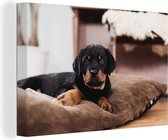 Canvas Schilderij Rottweiler pup ligt op een zacht kussen - 180x120 cm - Wanddecoratie XXL