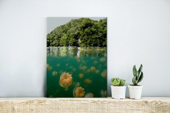 Demi-forêts photo sous-marines près du lac des méduses à Palau Toile 30x40 cm - petit - Tirage photo sur toile (décoration murale salon / chambre)