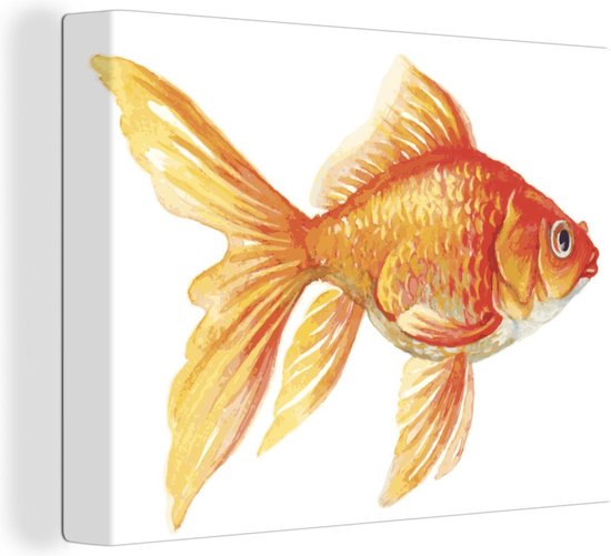 Canvas Schilderij Een illustratie van een zwemmende goudvis op een witte achtergrond - 80x60 cm - Wanddecoratie