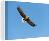 Aigle chauve européen dans un ciel bleu clair Toile 30x20 cm - petit - Tirage photo sur toile (Décoration murale salon / chambre)