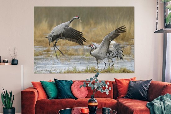 Grues européennes en eaux peu profondes Toile 180x120 cm - Tirage photo sur toile (Décoration murale salon / chambre) XXL / Groot format!