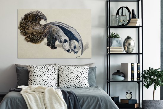 Une illustration antique d'un fourmilier géant 140x90 cm - Tirage photo sur toile (Décoration murale salon / chambre)