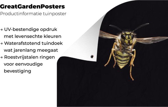 Affiche de jardin Guêpe - Insectes - Portrait - 120x90 cm