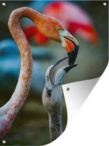 Tuin decoratie Flamingo's - Vogels - Portret - 30x40 cm - Tuindoek - Buitenposter