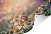 Muurdecoratie Vlinder op kamillebloem - 180x120 cm - Tuinposter - Tuindoek - Buitenposter