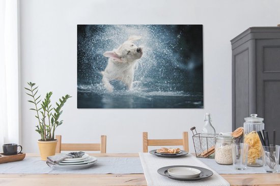 Labrador secoue la toile d'eau 2cm 140x90 cm - Tirage photo sur toile (Décoration murale salon / chambre) / Peintures sur toile pour Animaux domestiques
