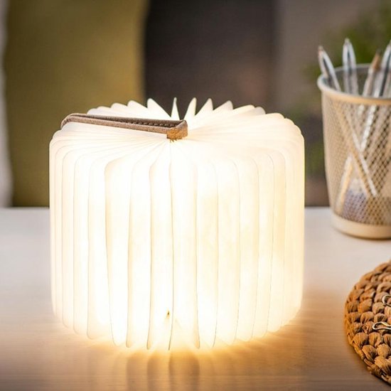 Gingko Mini Smart LED Book Light Coffee Brown