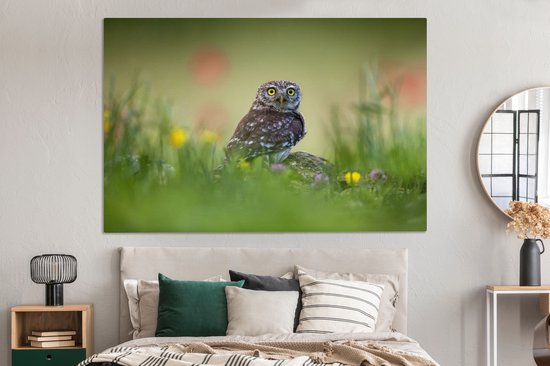 Chouette assise sur un rocher dans un champ 180x120 cm - Tirage photo sur toile (Décoration murale salon / chambre) XXL / Groot format!