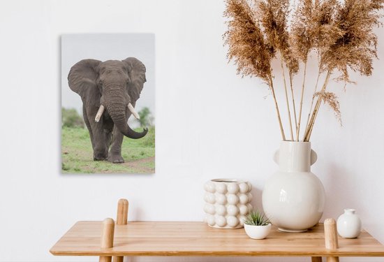 Peintures sur toile - Éléphant venant en sens inverse - 20x30 cm - Décoration murale