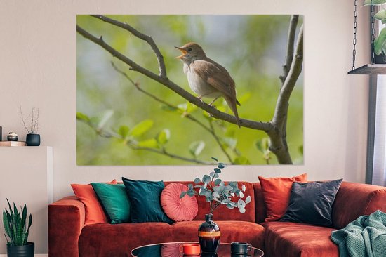 Tableau sur toile Rossignol chantant sur une branche - 150x100 cm - Décoration murale