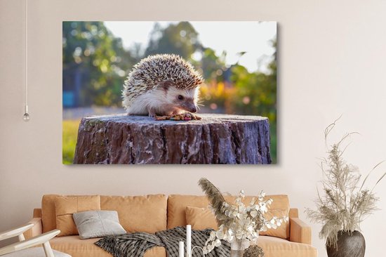 Tableau sur toile Manger un hérisson - 150x100 cm - Décoration murale
