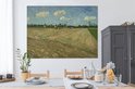 Image du produit 15