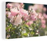 Gros plan roses roses 90x60 cm - Tirage photo sur toile (Décoration murale salon / chambre) / Peintures Fleurs sur toile