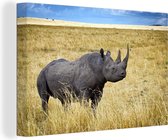 Rhinocéros noir sur la steppe 180x120 cm - Tirage photo sur toile (Décoration murale salon / chambre) / Animaux sauvages Peintures sur toile XXL / Groot format!