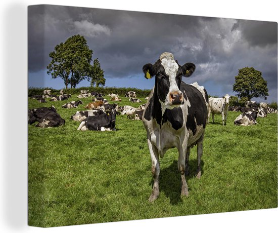 Canvas - Koeien - Dieren - Landschap - Fries - Gras - Wanddecoratie - Canvasdoek - 90x60 cm