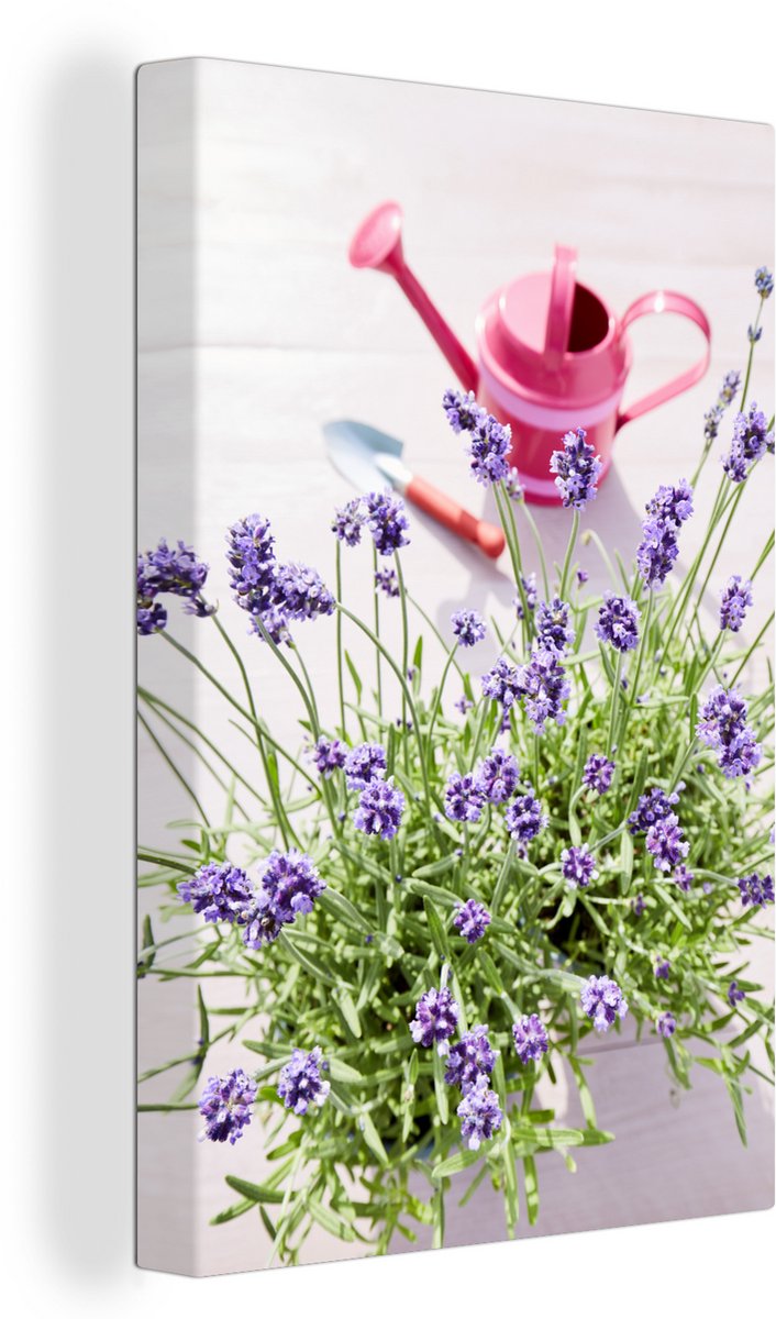 Canvas Schilderij Gieter - Bloemen - Lavendel - 60x90 cm - Wanddecoratie