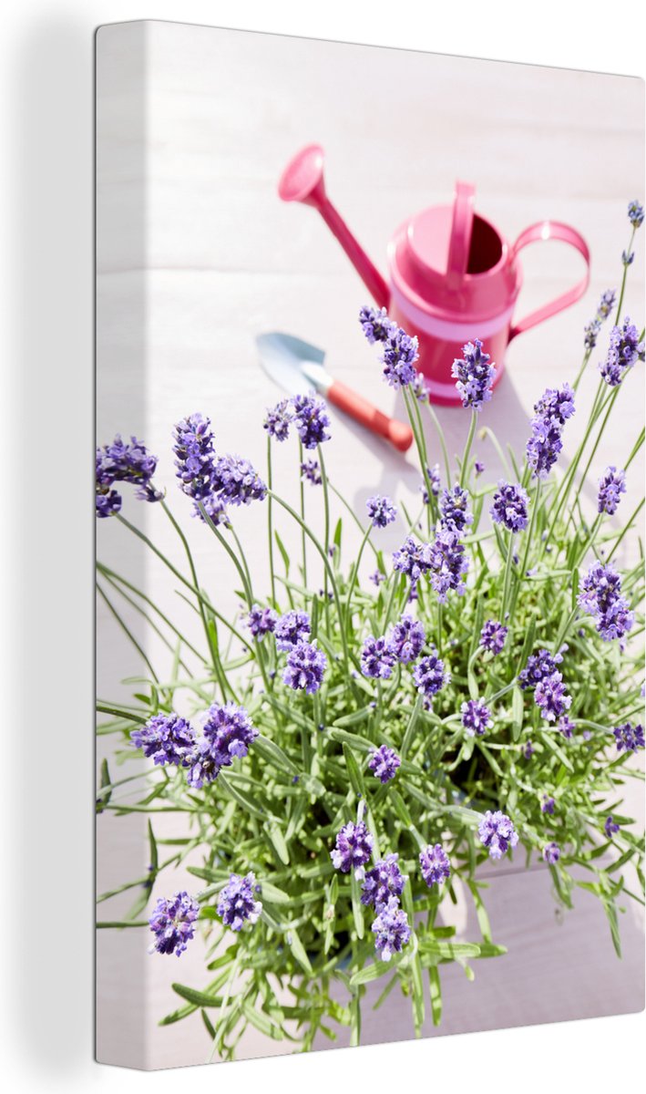 Canvas Schilderij Gieter - Bloemen - Lavendel - 40x60 cm - Wanddecoratie