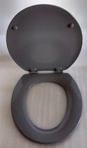 Bemis WC bril - Schaduw Grijs -  antibacterieel hout