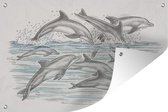 Tuindecoratie Dolfijnen - Water - Dieren - 60x40 cm - Tuinposter - Tuindoek - Buitenposter