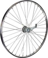 Roland Achterwiel 28 Inch (22-622) Terugtraprem 36g Rvs Chroom