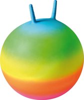 Skippybal regenboog