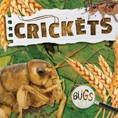 Bugs- Crickets