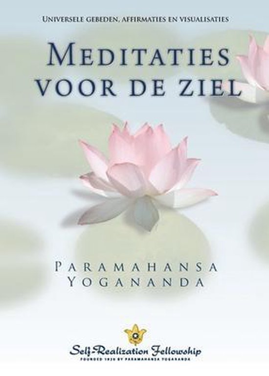 Metaphysical Meditations (Dutch)