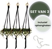 Bamboez - Macramé plantenhanger - ↕ 63 cm -  Ø tot 10cm - Set van 3 stuks - 100% Katoen - Inclusief witte schroefhaken - Zwart - Handgemaakt in Nederland