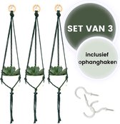 Bamboez - Macramé plantenhanger - ↕ 63 cm -  Ø tot 10cm - Set van 3 stuks - 100% Katoen - Inclusief witte schroefhaken - Groen - Handgemaakt in Nederland