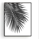 Poster Palmboom blad Links Zwart / Wit - Tropisch Blad - Planten Poster - Muurdecoratie - 40x30cm - PosterCity