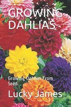 Growing Dahlias