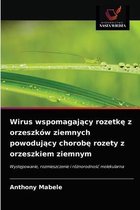 Wirus wspomagający rozetkę z orzeszków ziemnych powodujący chorobę rozety z orzeszkiem ziemnym