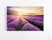 Canvas Schilderijen - Lavendel Canvas XL - Canvas Lavendel 90 x 60 cm - Wanddecoratie