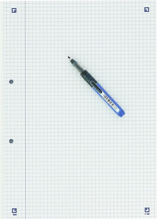 A4 ruitjes papier met 3 gaten en een blauwe pen.
