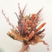 Droogbloemen - Droogboeket - Zalm Bruin - Luxe Boeket