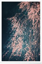 JUNIQE - Poster Whispers Of Dusty Pink -20x30 /Blauw & Roze