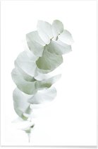 JUNIQE - Poster Eucalyptus White 1 -13x18 /Groen & Wit
