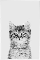 JUNIQE - Poster met kunststof lijst Kitten Classic -13x18 /Wit & Zwart