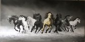 Rennende Paarden- print op katoenen canvasdoek op houten frame- Groot formaat: 70x140 cm