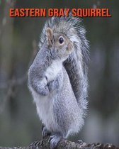 Eastern Gray Squirrel