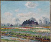 Kunst: Tulpenvelden bij Sassenheim van Claude Monet. Schilderij op canvas, formaat is 60x90 CM