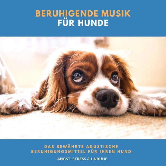Beruhigende Musik für Hunde - cover